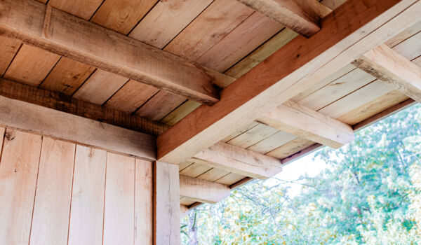 Bosmaat_Annevdl-Fotografie_2023_webresolutie-199