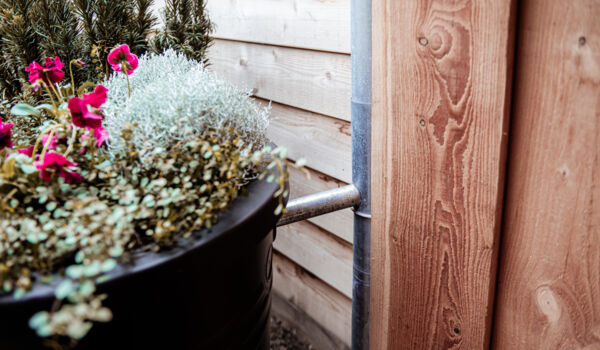 Bosmaat_Annevdl-Fotografie_2023_webresolutie-245