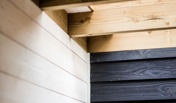 Bosmaat_2020_Annevdl-Fotografie_hoge-resolutie-66