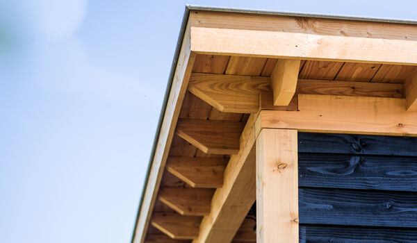 Bosmaat_2020_Annevdl-Fotografie_hoge-resolutie-4