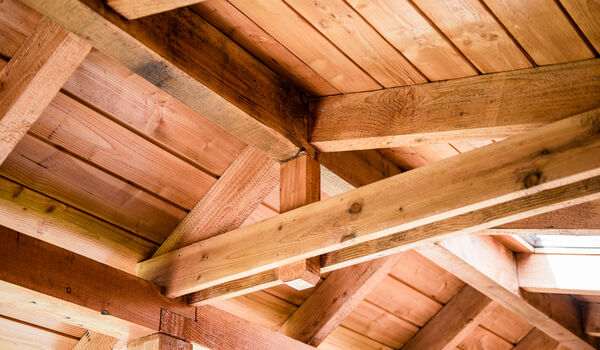 Bosmaat_2020_Annevdl-Fotografie_hoge-resolutie-58